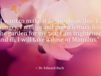 Introduction to Bach Flower Remedies
