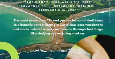 Touch for health intensive retreat(4)